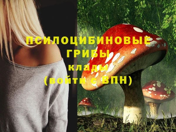 шишки Елабуга