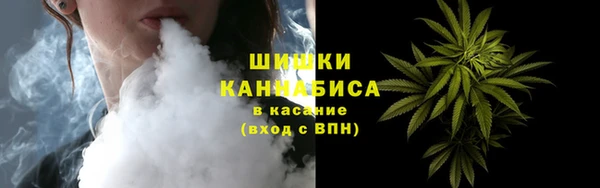 шишки Елабуга