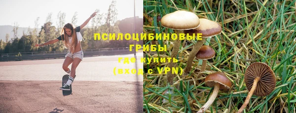 мескалин Елизово