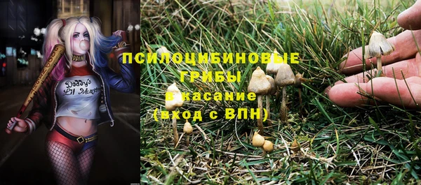 jwh Ельня