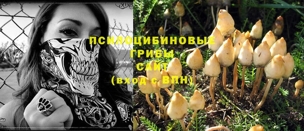 шишки Елабуга