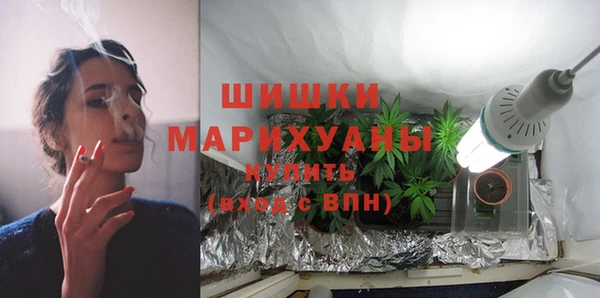 сатива Заволжье