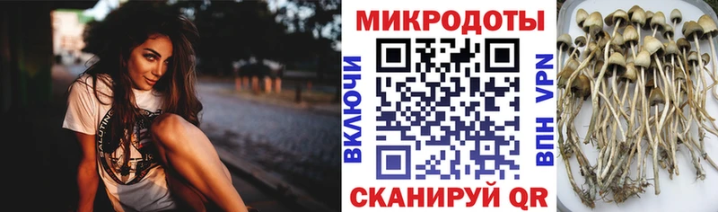 Псилоцибиновые грибы MAGIC MUSHROOMS Заволжск