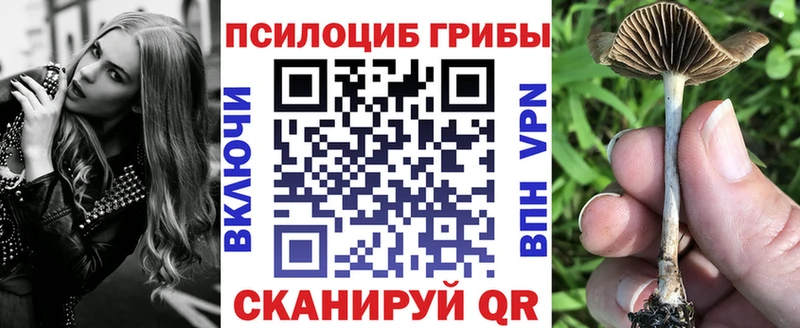 купить наркотик  Заволжск  Галлюциногенные грибы GOLDEN TEACHER 